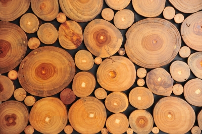 woodlogs